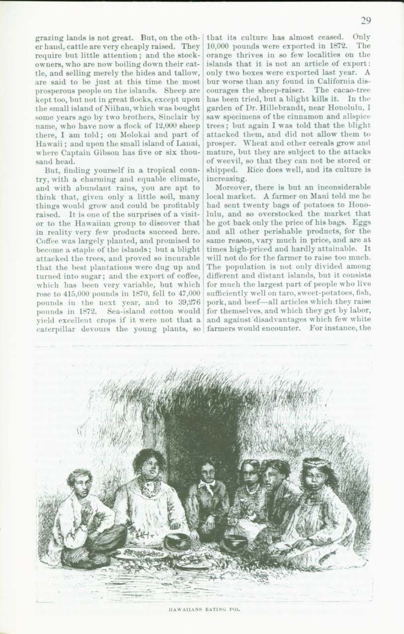 HAWAII-NEI, 1873. vist0030m